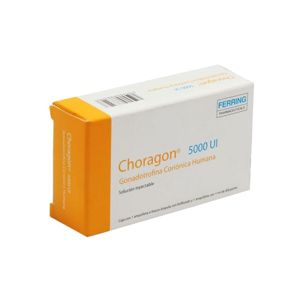 Choragon 5000