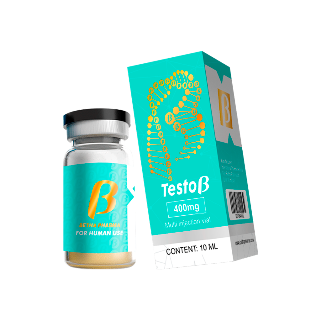 Testo B