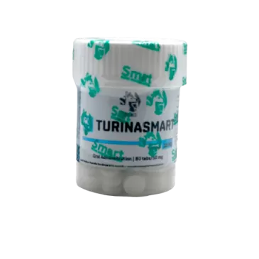Turinasmart